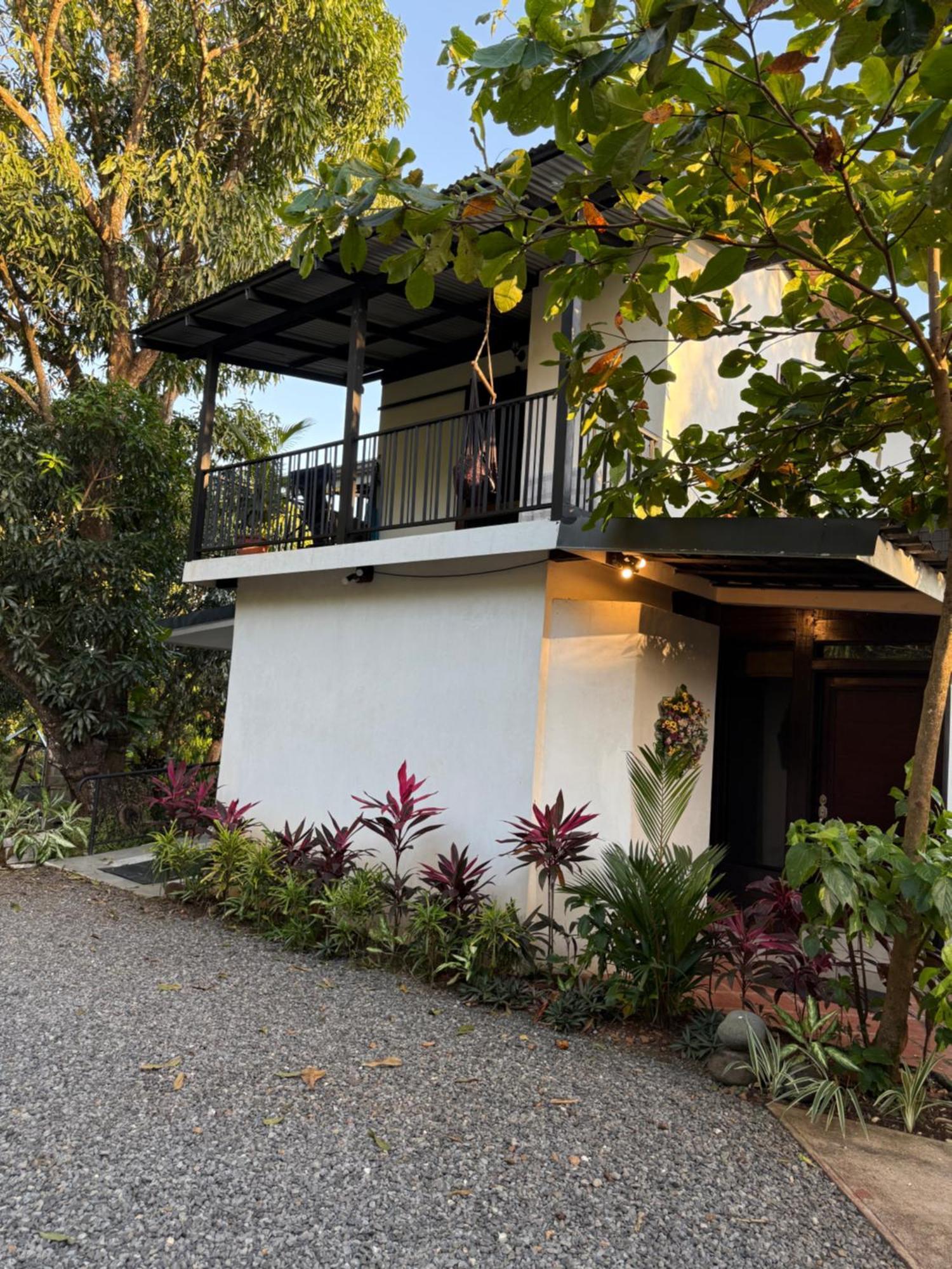 Cotton House De Labrador Bed & Breakfast ภายนอก รูปภาพ